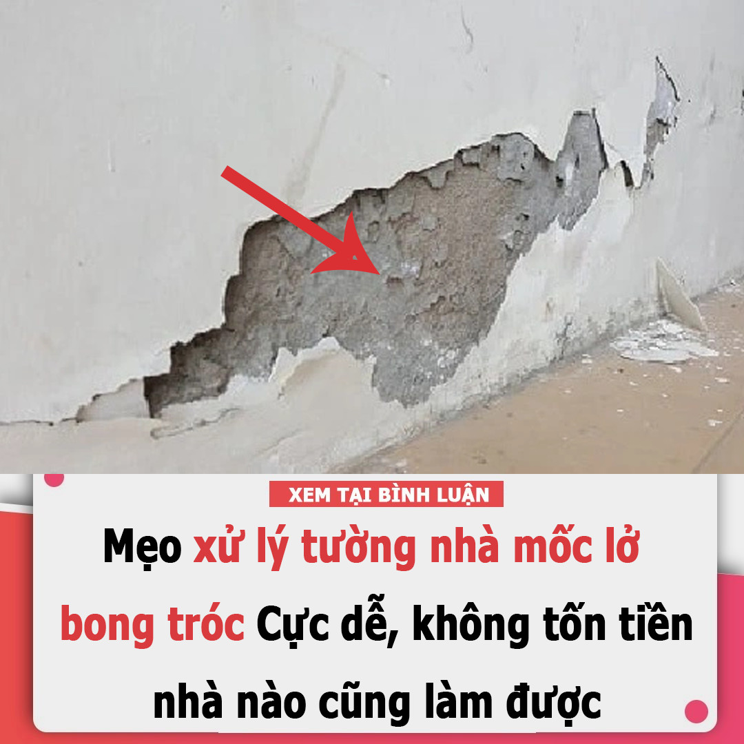 Mẹo xử lý tường nhà mốc lở, bong tróc: C.ực dễ, kh.ông t.ốn t.iền, nhà nào cũng l.àm được