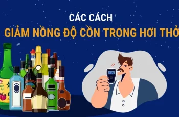 Tết lỡ uống chút rượu bia, làm ngay cách này để không còn nồng độ cồn trong hơi thở – News – GMT